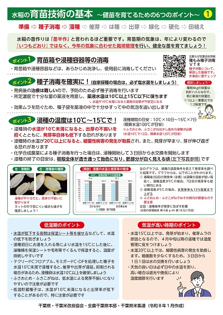 水稲の育苗技術の基本について