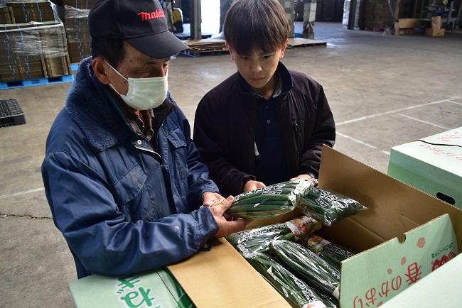 葉玉ねぎ出荷始まっています！