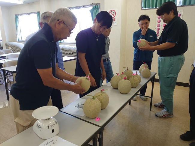 令和7年産アールスメロン査定会