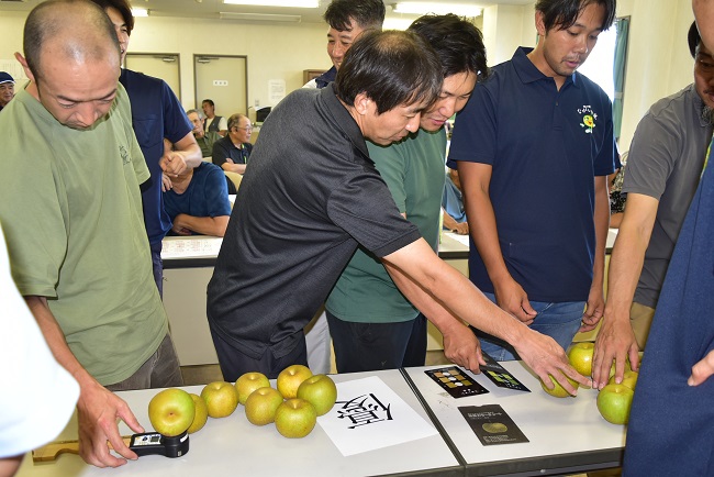 ながいき梨「幸水」査定会
