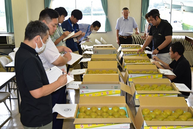 ながいき梨「幸水」共進会開催！