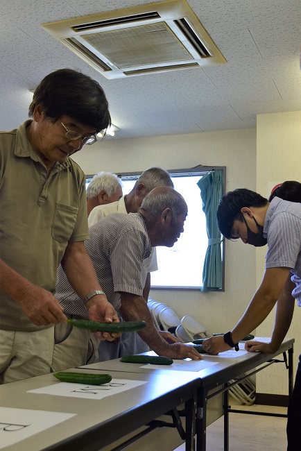 抑制キュウリ査定会