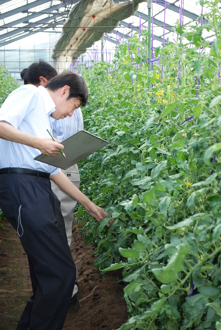 厳正な審査をする審査員