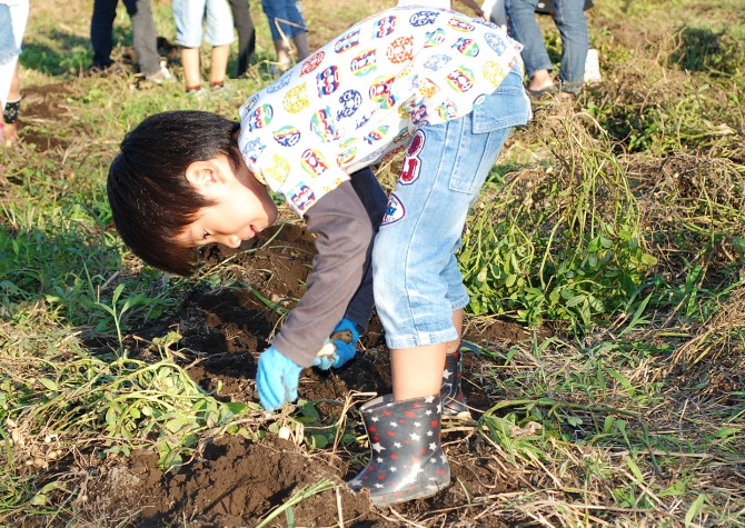 一生懸命取ってます。