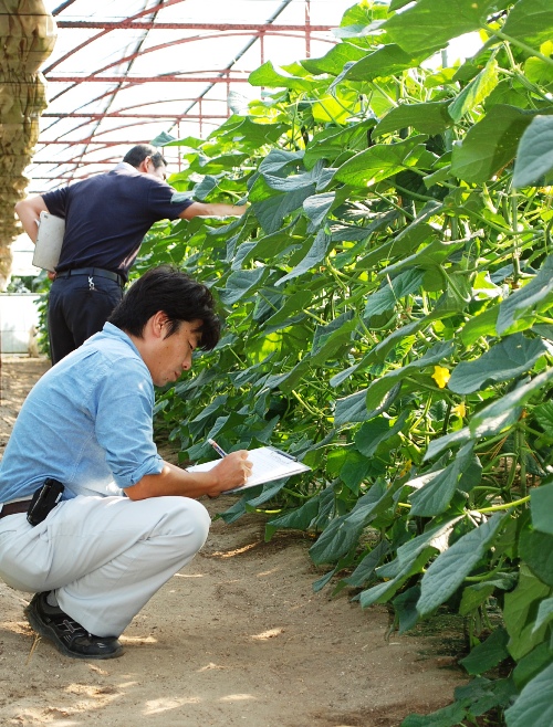 厳正に見極める審査員