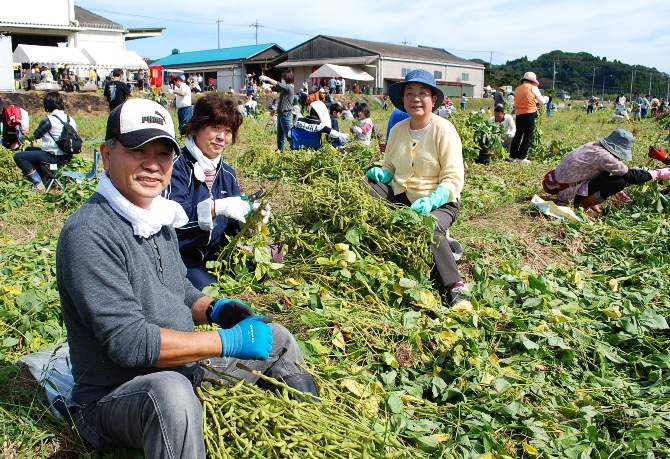 エダマメを上手にまとめる参加者のみなさん