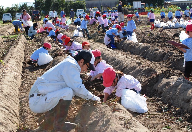たくさん取れたね。