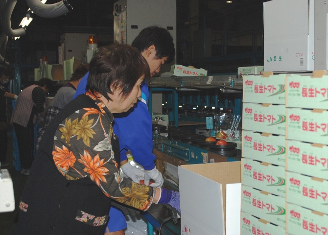 作業を教えてもらいながら、頑張ります