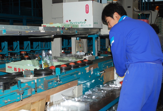 トレーサビリティデータ付のお皿で、丁寧に運ばれます