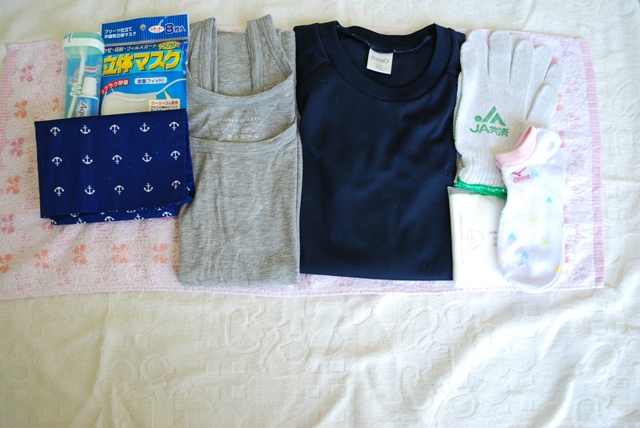 防災頭巾の中に入れるもの