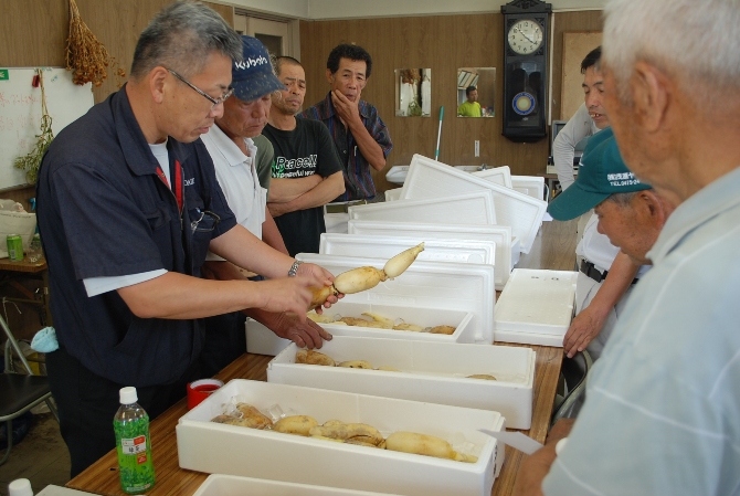 目揃え会の様子