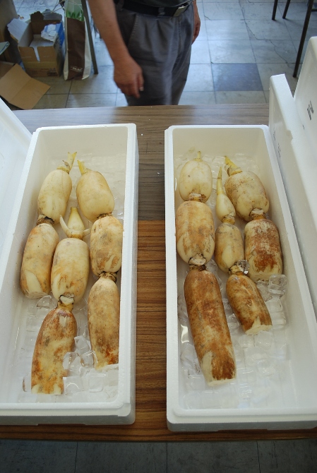 製氷入り発砲出荷形態