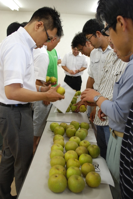 梨の査定会