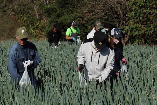 第5回長生（ながいき）農業塾ネギコース