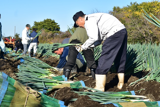長生（ながいき）農業塾第6回講座