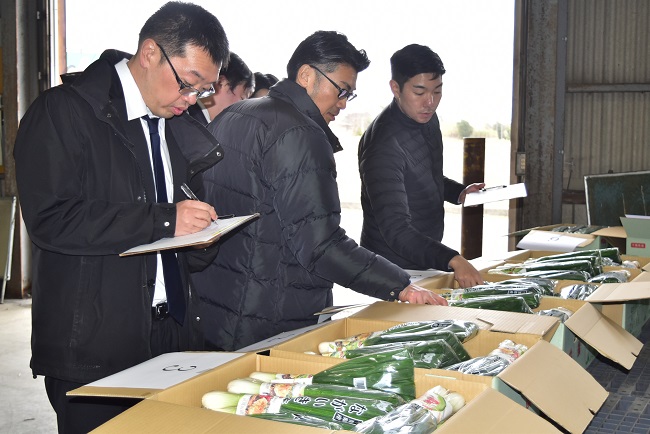 ながいき葉玉ねぎ共進会