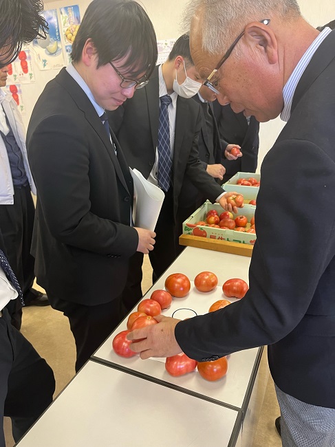 春期トマト査定会