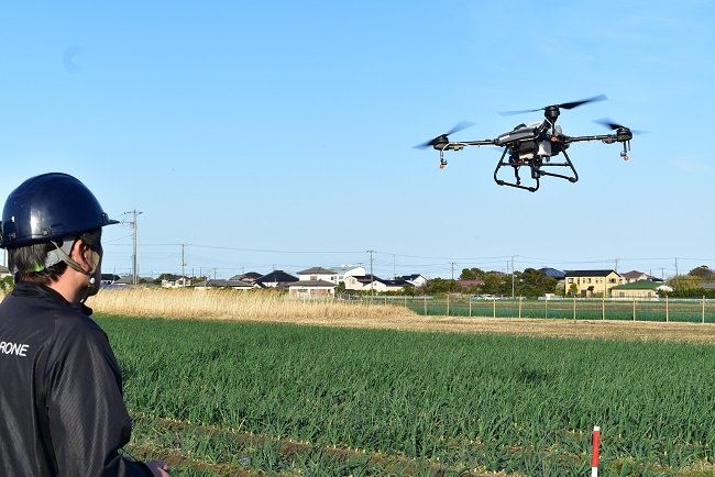 玉ねぎの圃場でドローンでの農薬散布を行いました