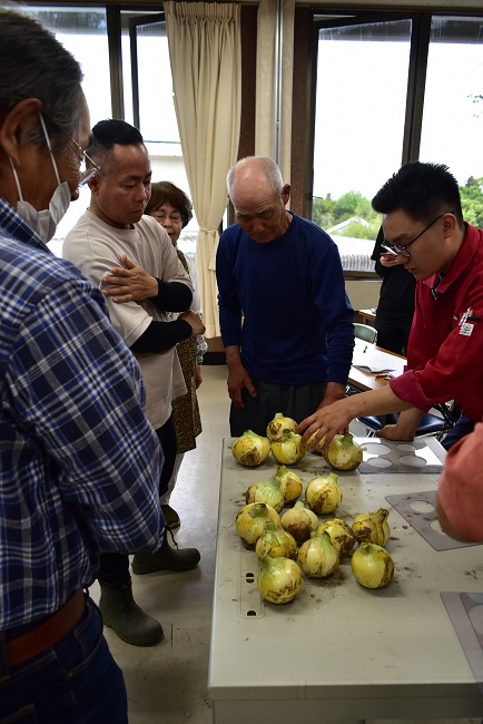 令和6年度ながいき玉ねぎ査定会