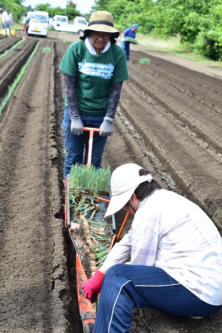 第2回長生（ながいき）農業塾ねぎコース