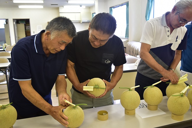令和6年産アールスメロン目揃え会