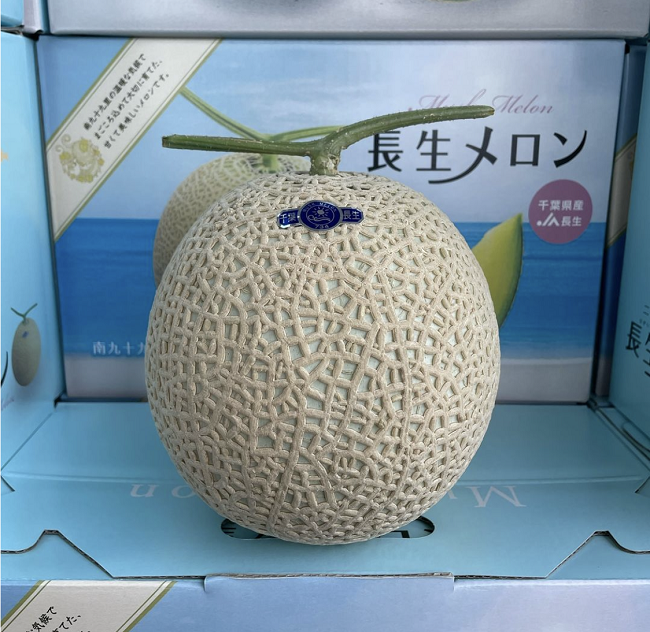 今年もメロンの販売が開始しました！