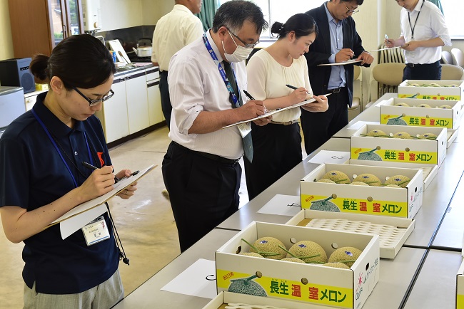 アールスメロン共進会