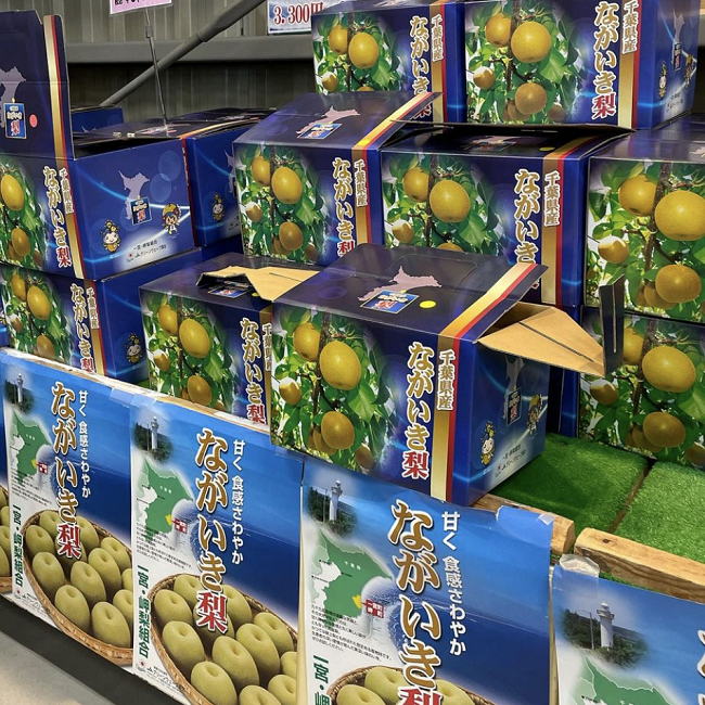 ながいき梨「幸水」の出荷が始まります！