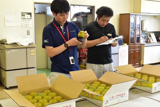 ながいき梨「幸水」共進会